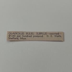 Copied - The Praying Mantis 1931 Art Print SAG4-7